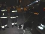 Terremoto in Turchia: rientrato nella notte il team dei vigili del fuoco toscani