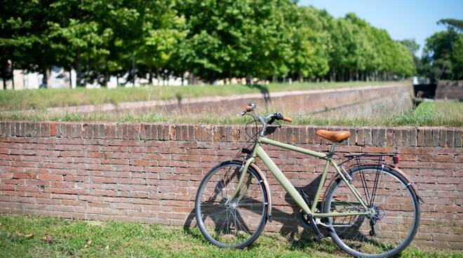 Strade di Lucca Bike Hub