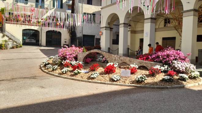 azalea Borgo a Mozzano