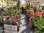 santa zita, fiori, piazza anfiteatro, piante, banchetti, allestimenti, primavera,