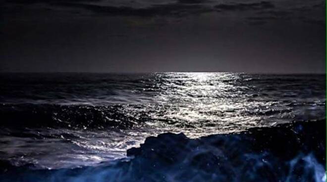 mare mosso notte foto letizia tassinari 