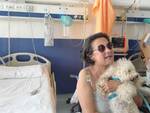 cane biro in ospedale a Prato
