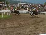 palio di feltre