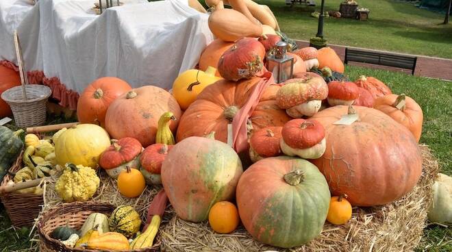 festa della zucca a Piegaio-Trebbio