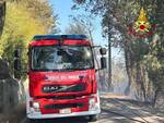 vigili del fuoco incendio bosco