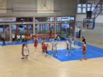 Etrusca San Miniato Spezia basket B interregionale