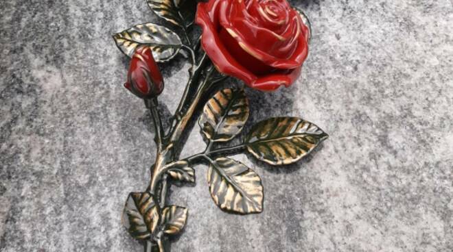 rosa rubata dalla lapide al cimitero di spianate