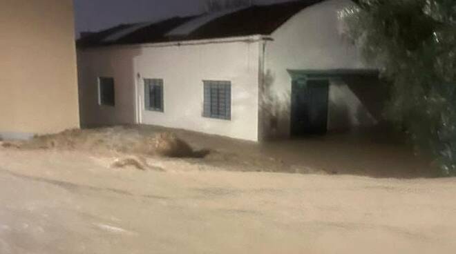 lav animali soccorso alluvione prato 