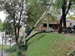 passeggiata delle mura chiusa per alberi pericolanti