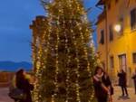 albero di natale a montecarlo