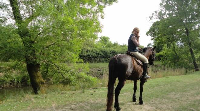 a cavallo a san rossore