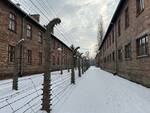 auschwitz