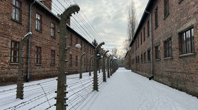 auschwitz