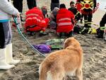 darsena vigili del fuoco cane