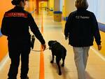 I carabinieri con il cane antiveleno Mora fanno visita ai bimbi ricoverati 