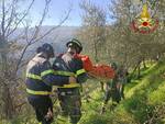 vigili del fuoco bosco ciclista nel dirupo 