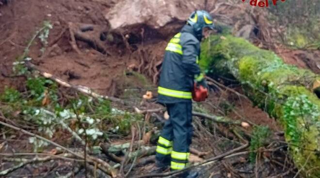 Stabbiano albero caduto in strada