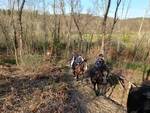 carabinieri a cavallo cerbaie 