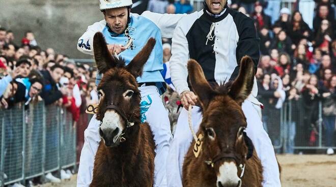 È la Contrada Porta Nova la vincitrice della 67esima edizione del Palio dei Somari