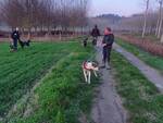 Il Bosco di Archimede, capannoli, animali