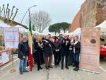 Mostra mercato del tartufo marzuolo di Cigoli 2024