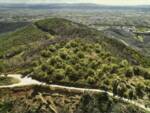 riforestazione del Monte Pisano