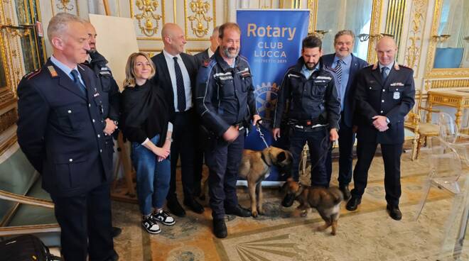 Unità cinofila, cani antidroga