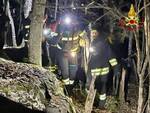 vigili del fuoco bosco notte