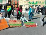 pisa, manifestazione studenti, università, palestina