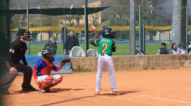 Drk Sport Baseball Capannori