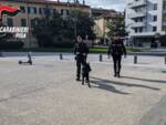 pisa polizia carabinieri 