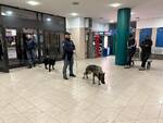 polizia cani anti droga montecatini terme 