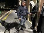 polizia cani anti droga montecatini terme 