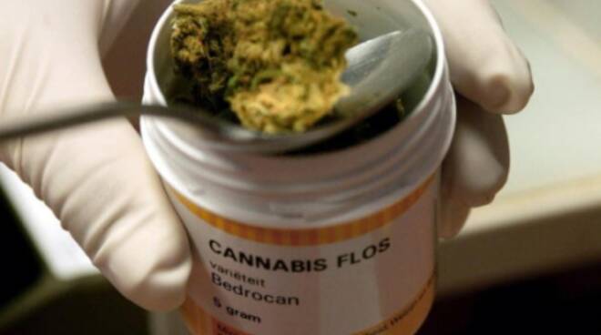 farmaci cannabis